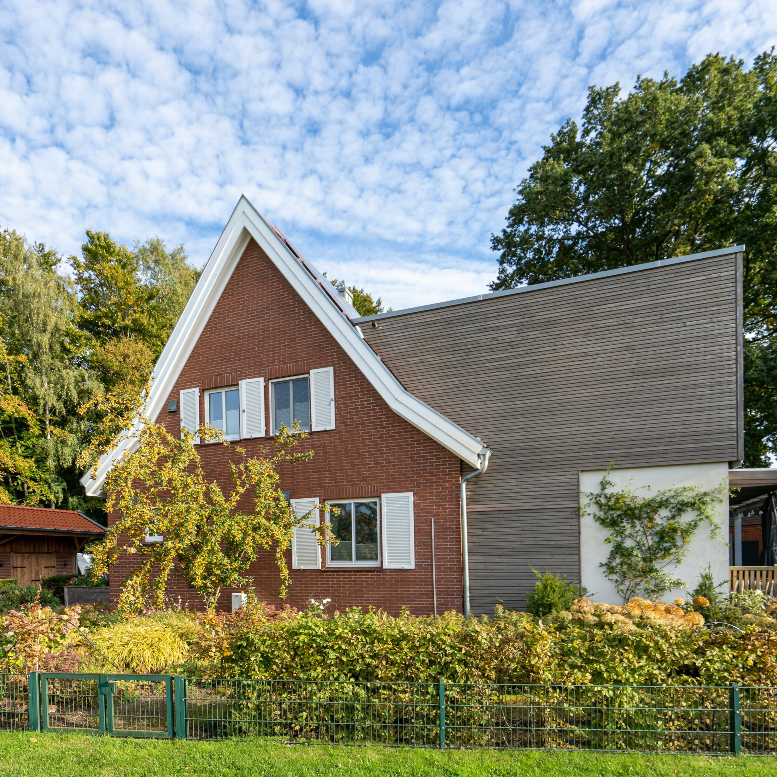 xSNY05348-Bearbeitet-1